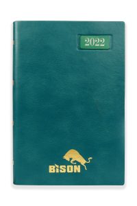 Bison 1